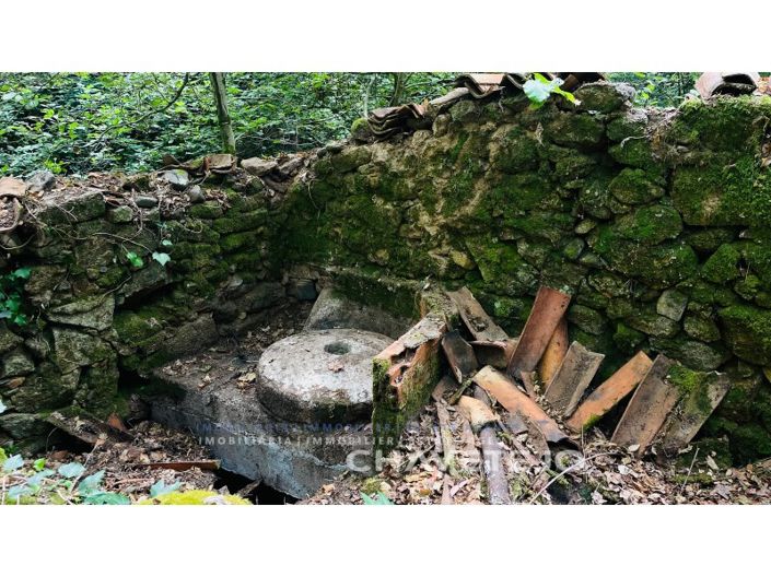 Image No.7-Farmhouse for sale