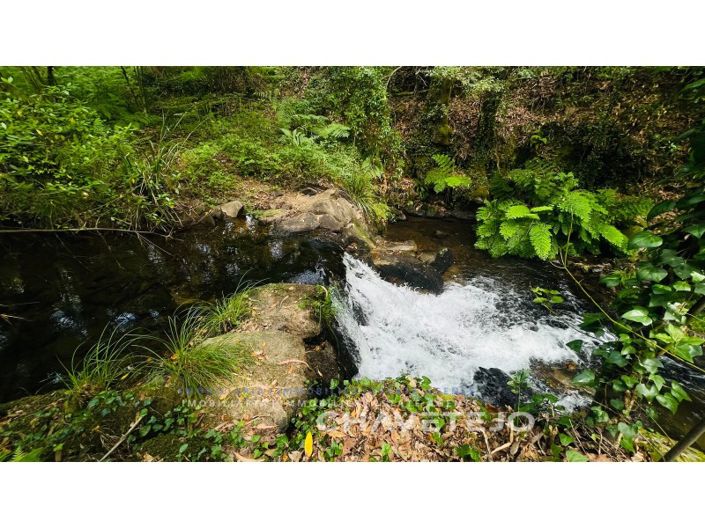 Image No.8-Farmhouse for sale