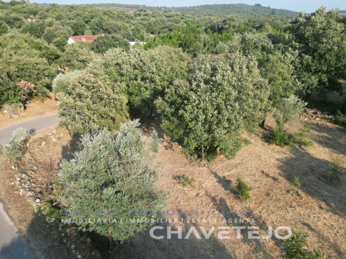 Image No.16-Plot for sale