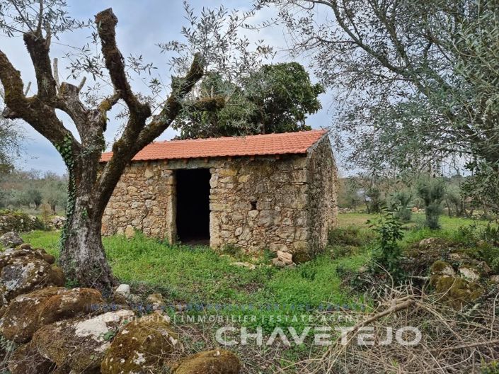 Image No.3-Plot for sale