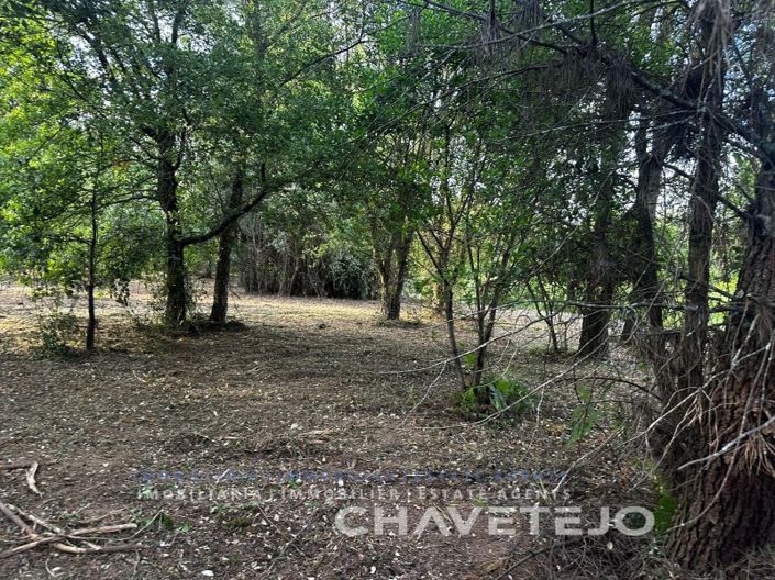 Image No.1-Plot for sale