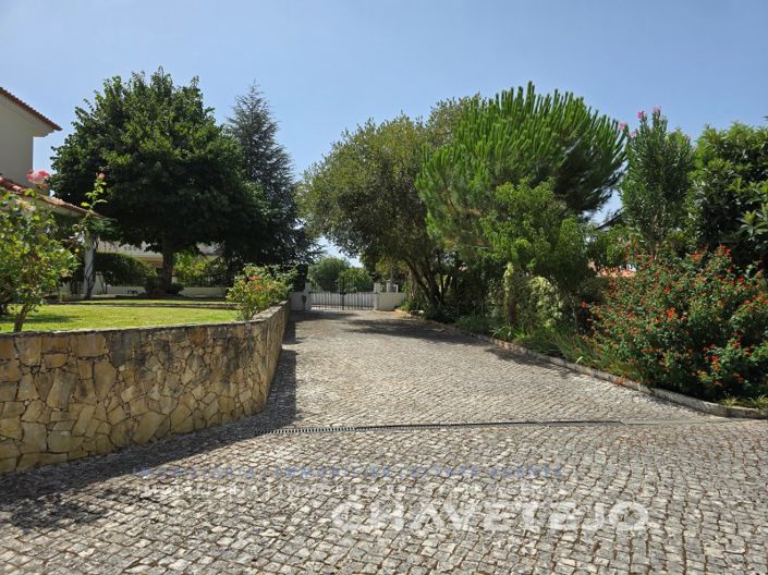 Image No.56-5 Bed House for sale