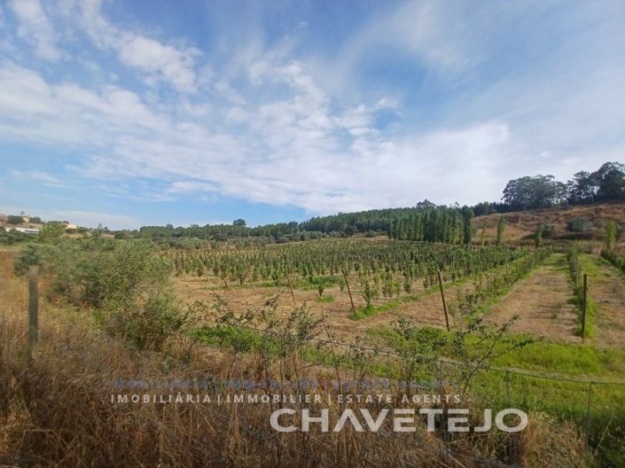 Tomar, Farmhouse