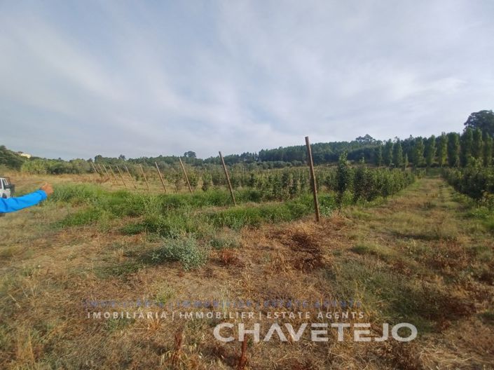 Image No.13-Farmhouse for sale