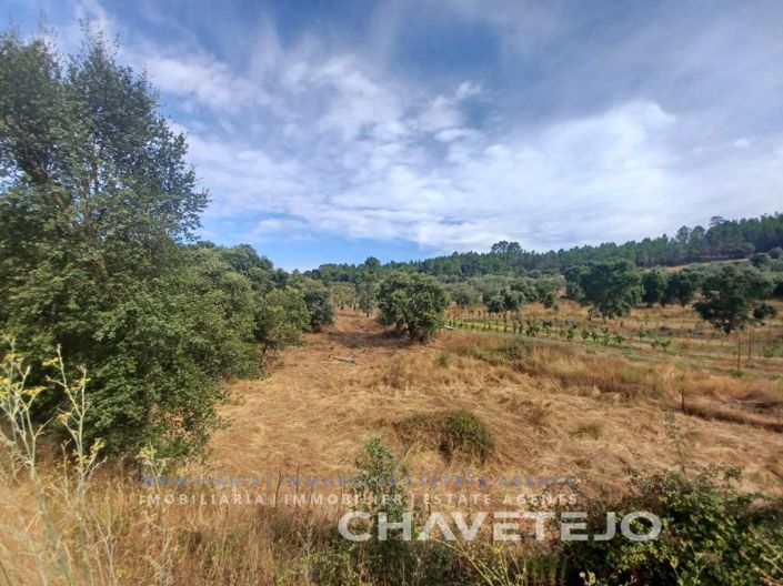 Image No.20-Farmhouse for sale