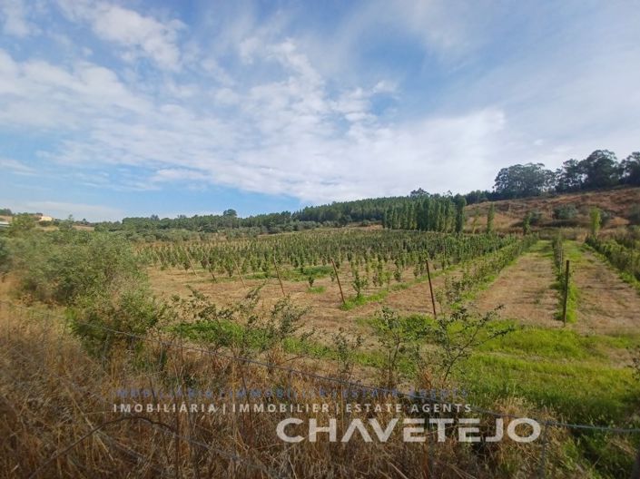 Image No.23-Farmhouse for sale