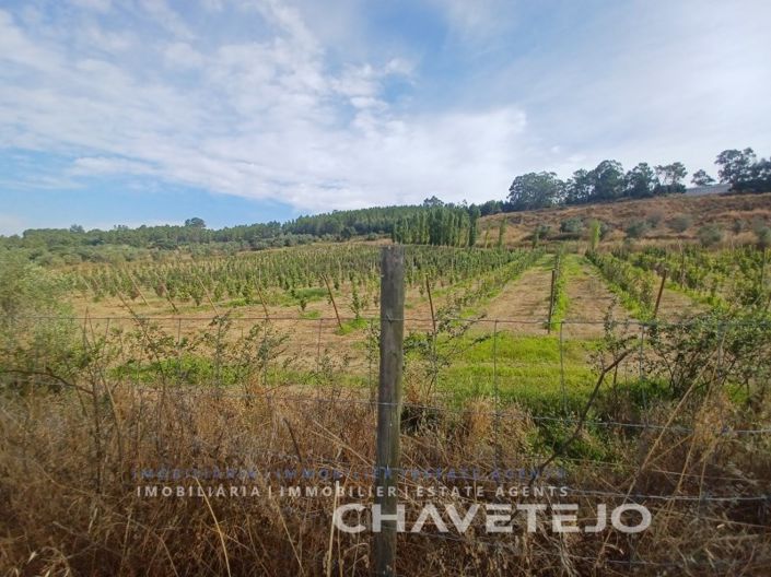 Image No.24-Farmhouse for sale