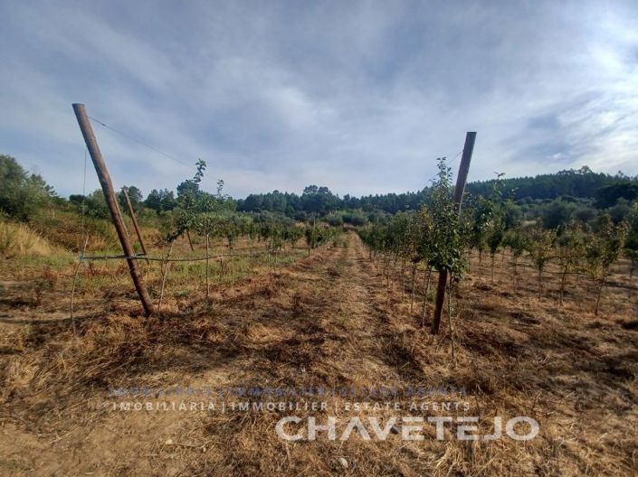 Image No.25-Farmhouse for sale