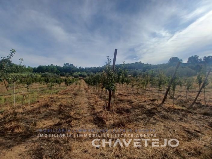 Image No.8-Farmhouse for sale