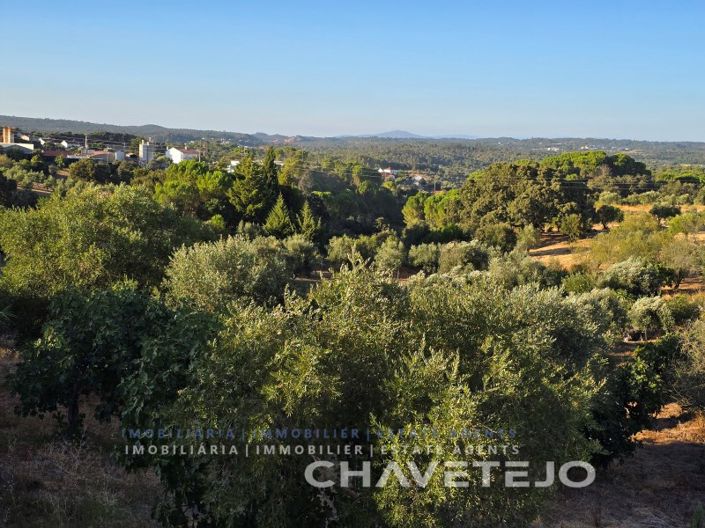 Image No.56-3 Bed House for sale