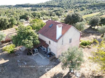 id22caa901-0000-0500-0000-000017157787