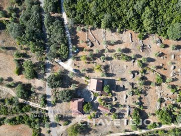 id22caa901-0000-0500-0000-000017157788