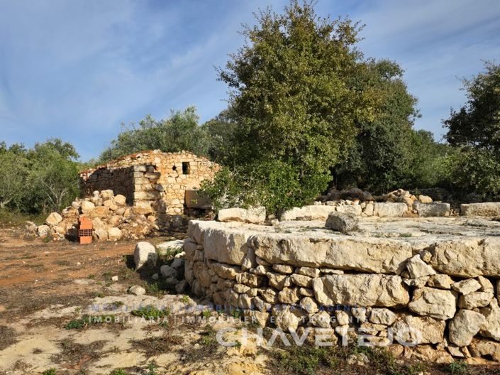 Image No.3-House for sale