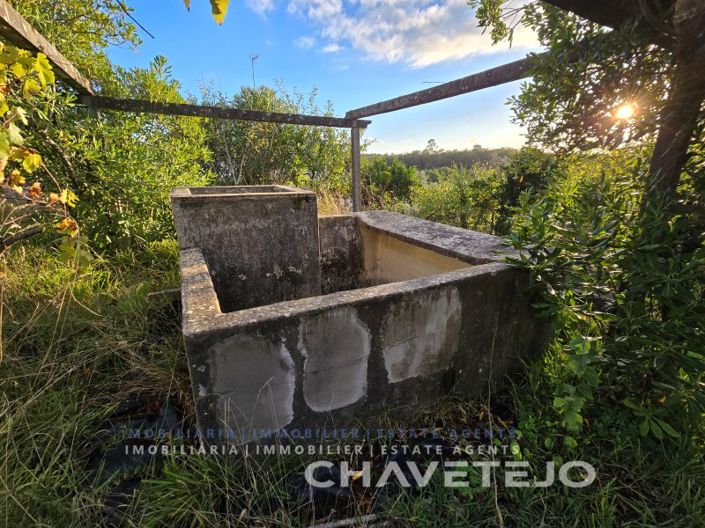 Image No.37-3 Bed House for sale