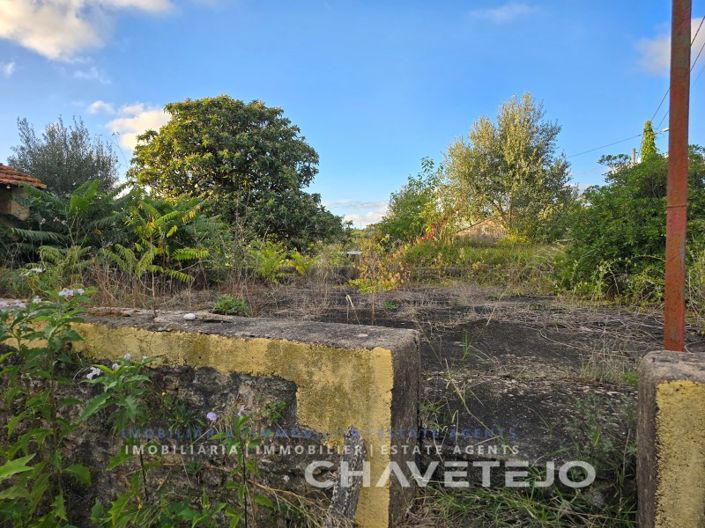 Image No.38-3 Bed House for sale