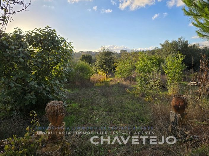 Image No.39-3 Bed House for sale