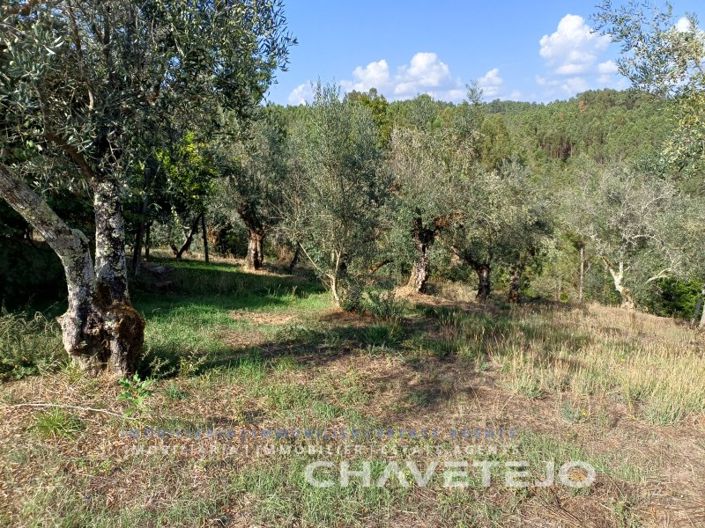 Image No.33-2 Bed House for sale