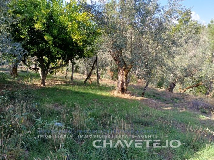 Image No.36-2 Bed House for sale