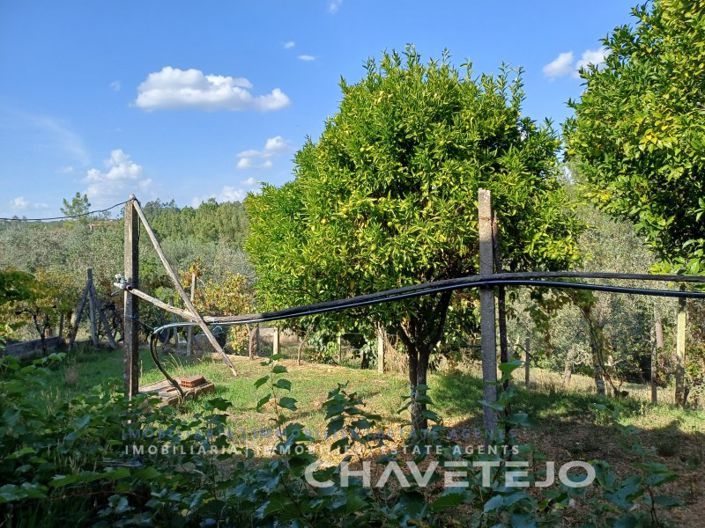 Image No.41-2 Bed House for sale