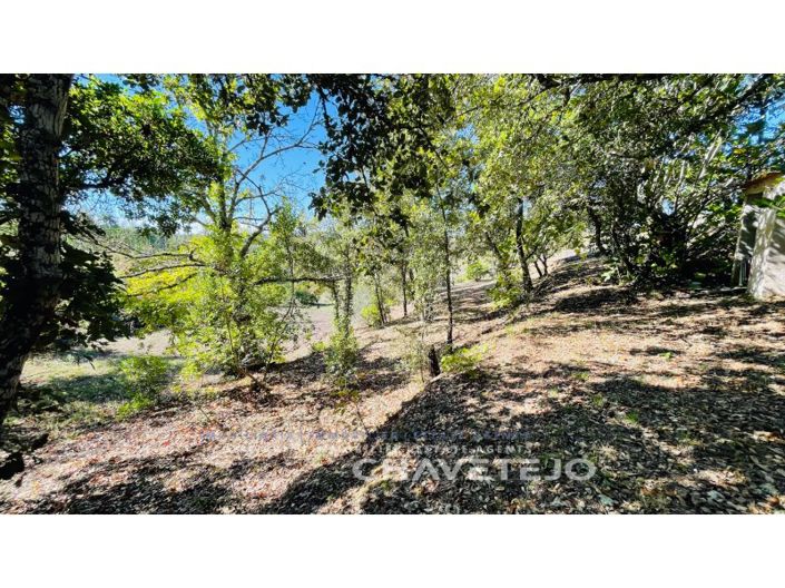 Image No.52-3 Bed House for sale