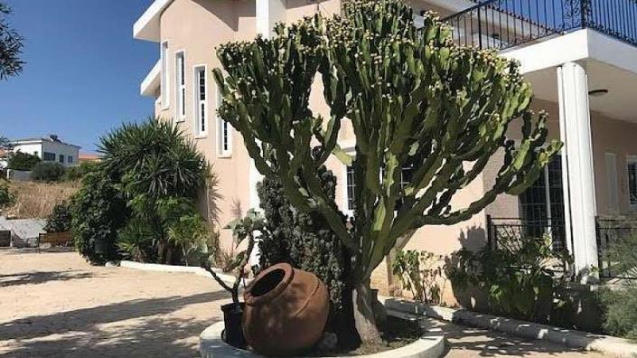 Image No.3-4 Bed House/Villa for sale