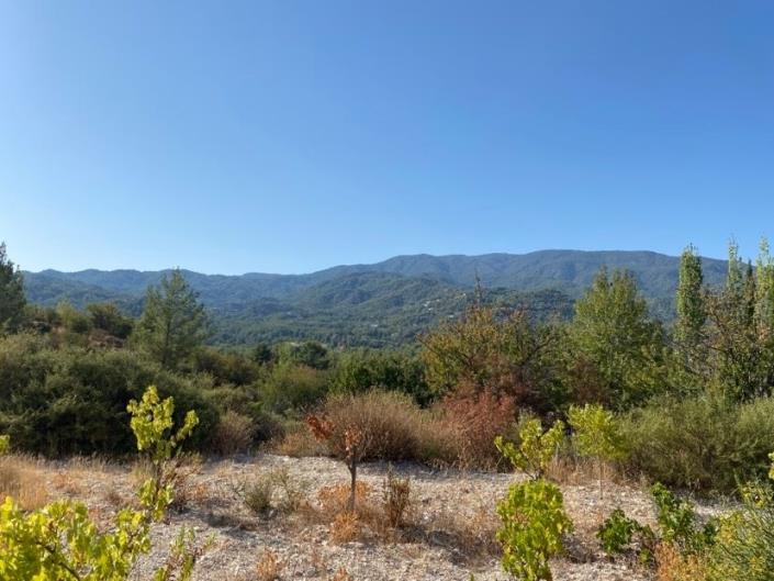 Image No.2-4 Bed House/Villa for sale