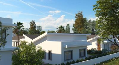 Count-ext-5-1075x595