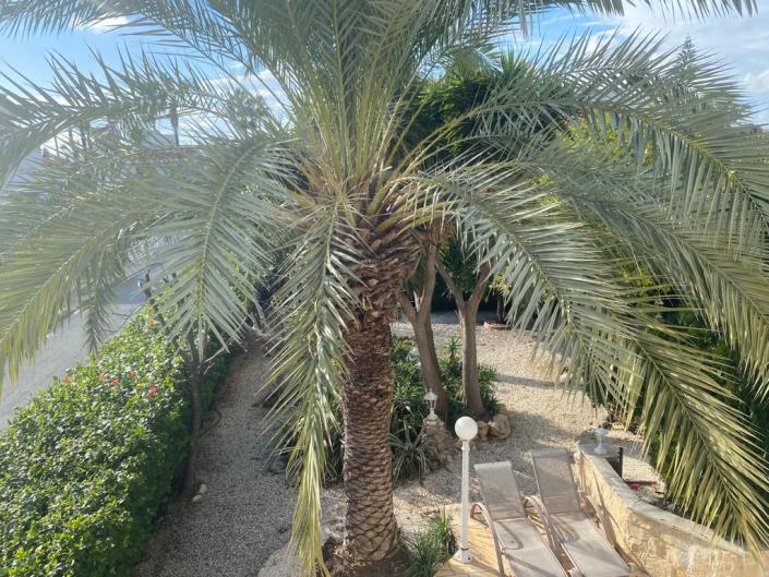 Image No.37-3 Bed House/Villa for sale