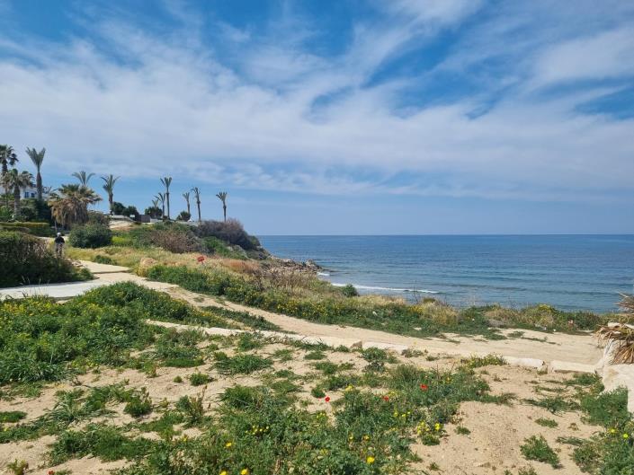 Image No.15-5 Bed Villa for sale