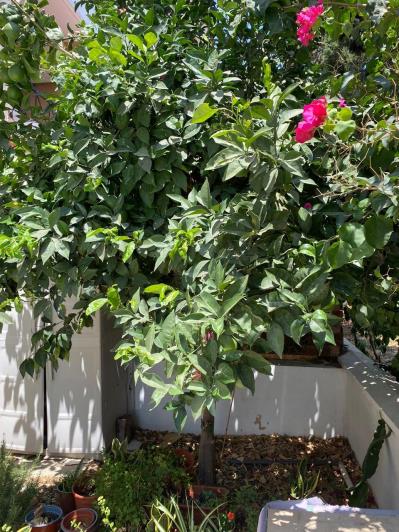 Image No.33-3 Bed Apartment for sale