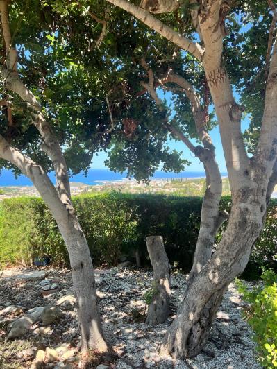 Image No.37-3 Bed Villa for sale