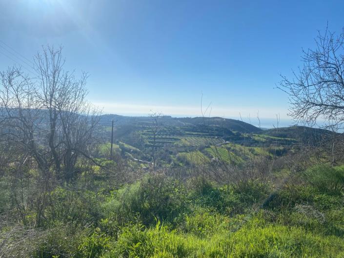 Image No.12-3 Bed Villa for sale