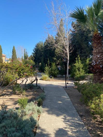 Image No.25-2 Bed Villa for sale