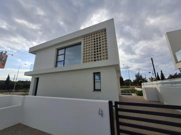 20250225_150626-scaled