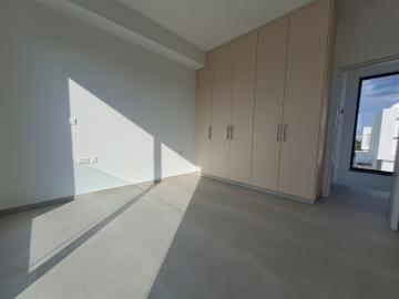 20250225_151200-scaled