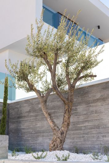 Image No.28-3 Bed Villa for sale