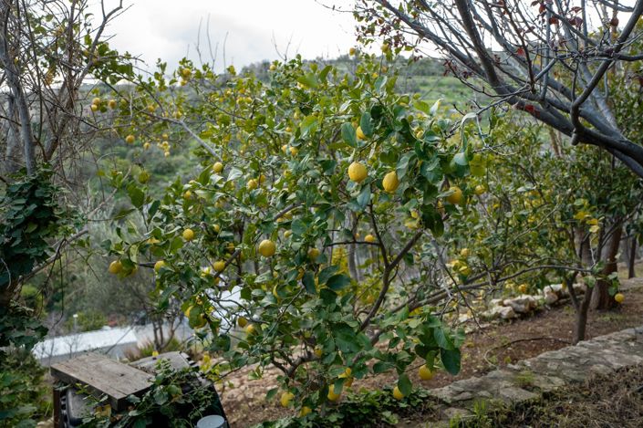 Image No.29-7 Bed Property for sale