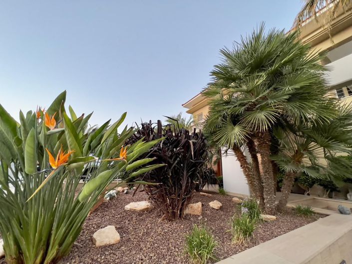 Image No.33-7 Bed Villa for sale