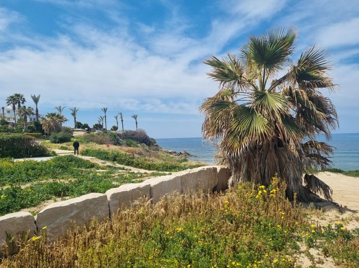 Image No.31-5 Bed Villa for sale