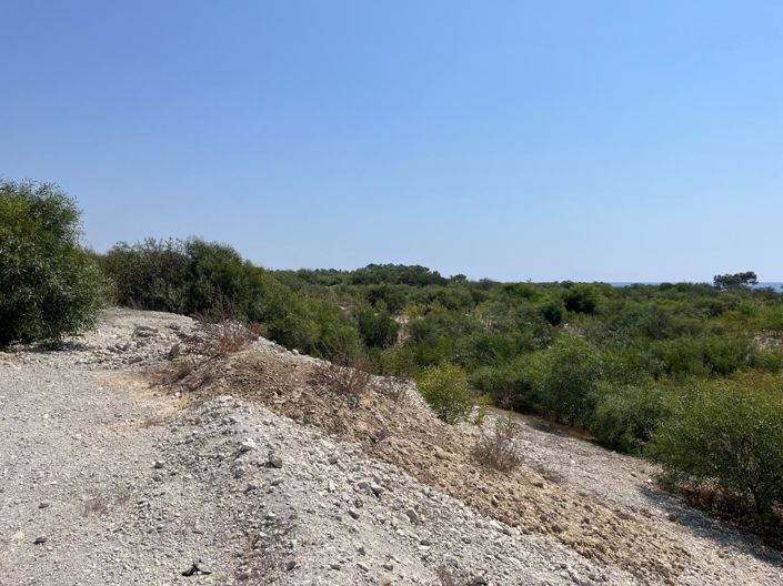 Image No.24-5 Bed Villa for sale