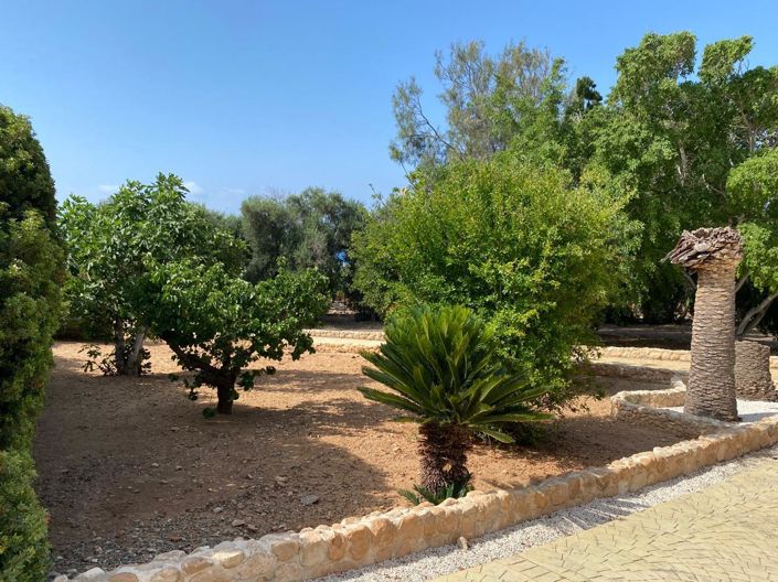 Image No.4-3 Bed Villa for sale