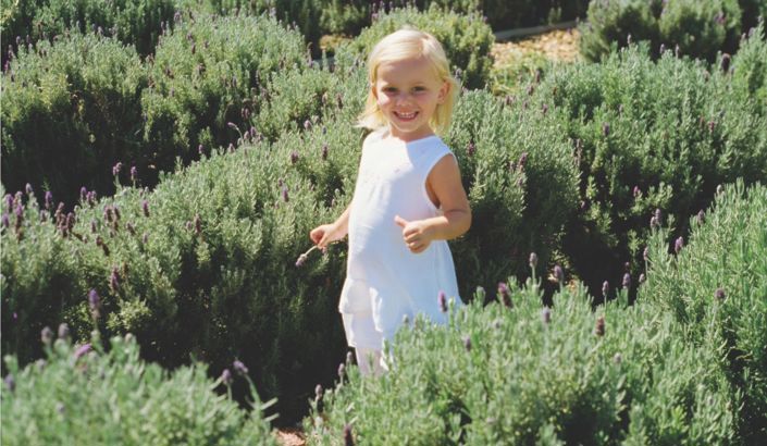 Image No.23-3 Bed Villa for sale