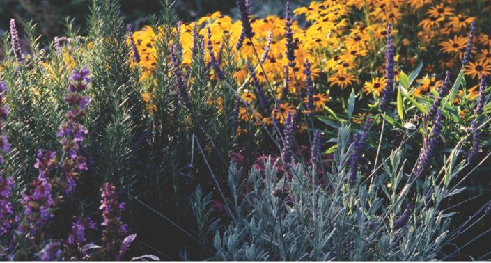 Image No.11-3 Bed Villa for sale