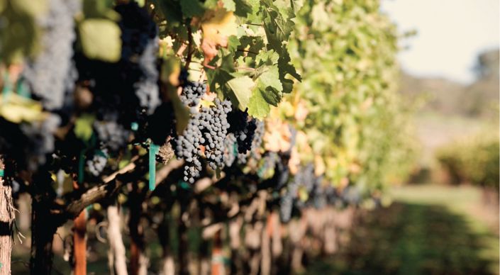 Image No.23-3 Bed Villa for sale