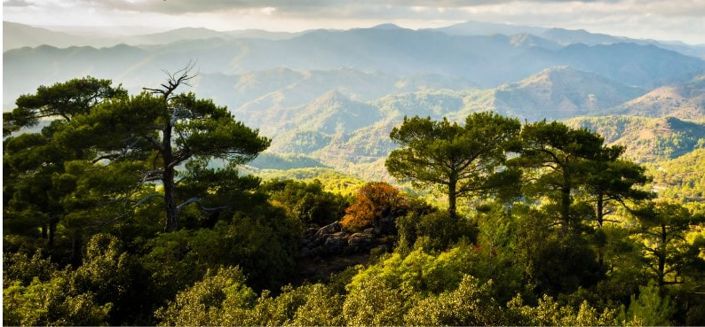 Image No.10-2 Bed Townhouse for sale