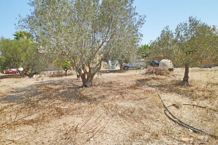 Image No.3-Bungalow de 2 chambres à vendre à Paphos