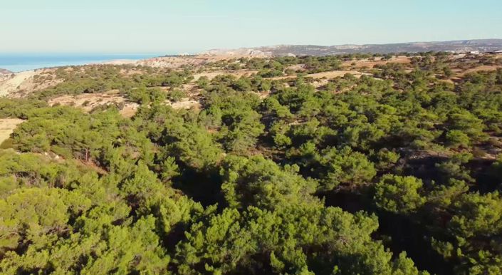 Image No.15-3 Bed Villa for sale