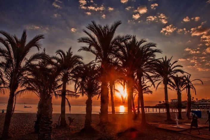 Image No.15-3 Bed Villa for sale