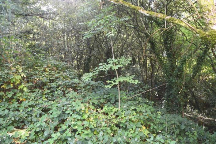 Image No.15-Commercial for sale