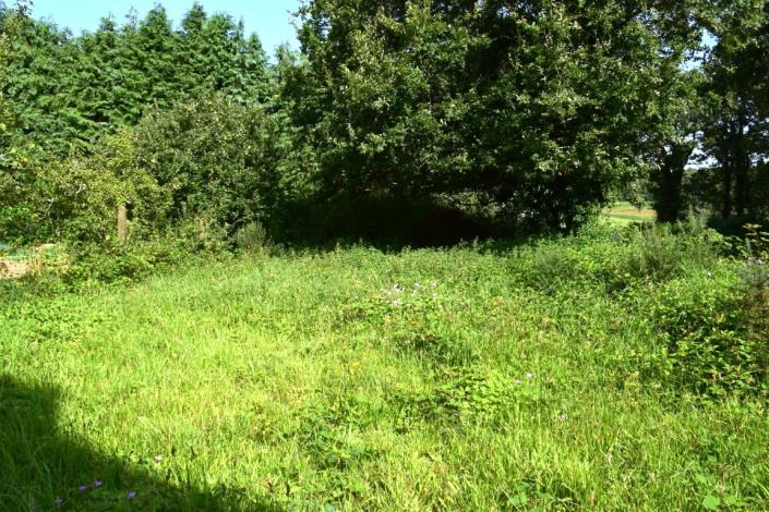 Image No.5-3 Bed House for sale